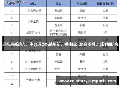 球队最新动态：主力球员伤情更新，媒体曝出冬窗引援计划详细信息