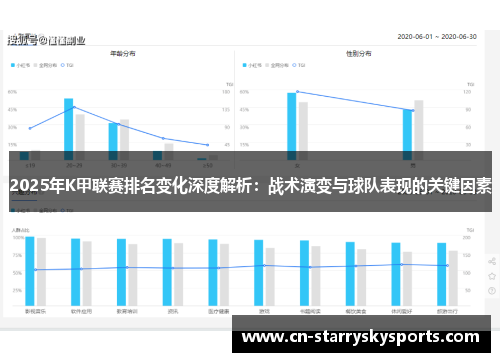 2025年K甲联赛排名变化深度解析：战术演变与球队表现的关键因素