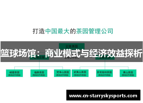 篮球场馆：商业模式与经济效益探析