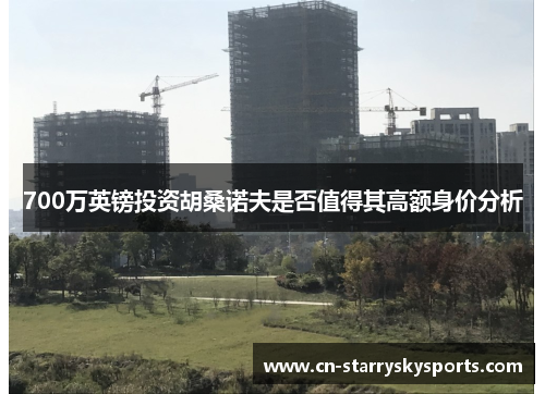 700万英镑投资胡桑诺夫是否值得其高额身价分析