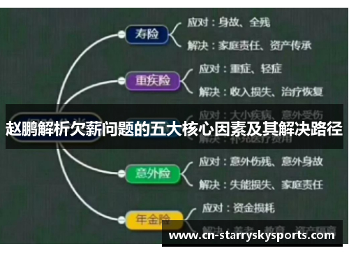 赵鹏解析欠薪问题的五大核心因素及其解决路径